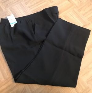 Alfred dunner women's stretch pant size 16 short